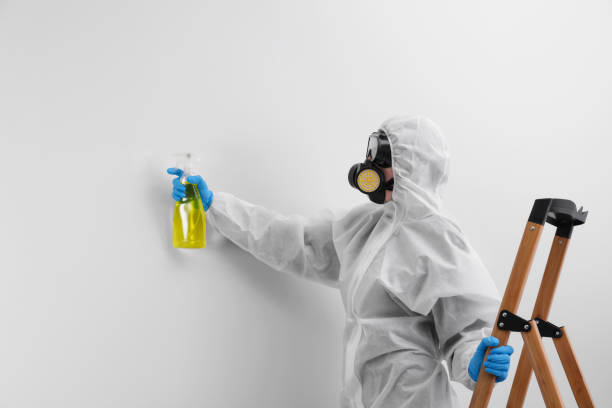 Best Biohazard Mold Removal  in Valdosta, GA